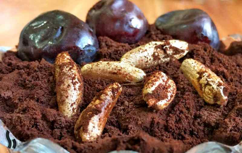 تصویر 1 از فروش اینترنتی پودر هسته خرما + خرید